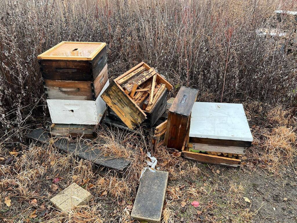 Sometimes as beekeepers in a big city we get lulled into a sense of comfort when we go to our apiary. Beekeeping is a highly autonomous activity, just you and the bees. There are so few activities that you can do (especially in a city) where you can be b… instagr.am/p/CmFwtLpr27-/