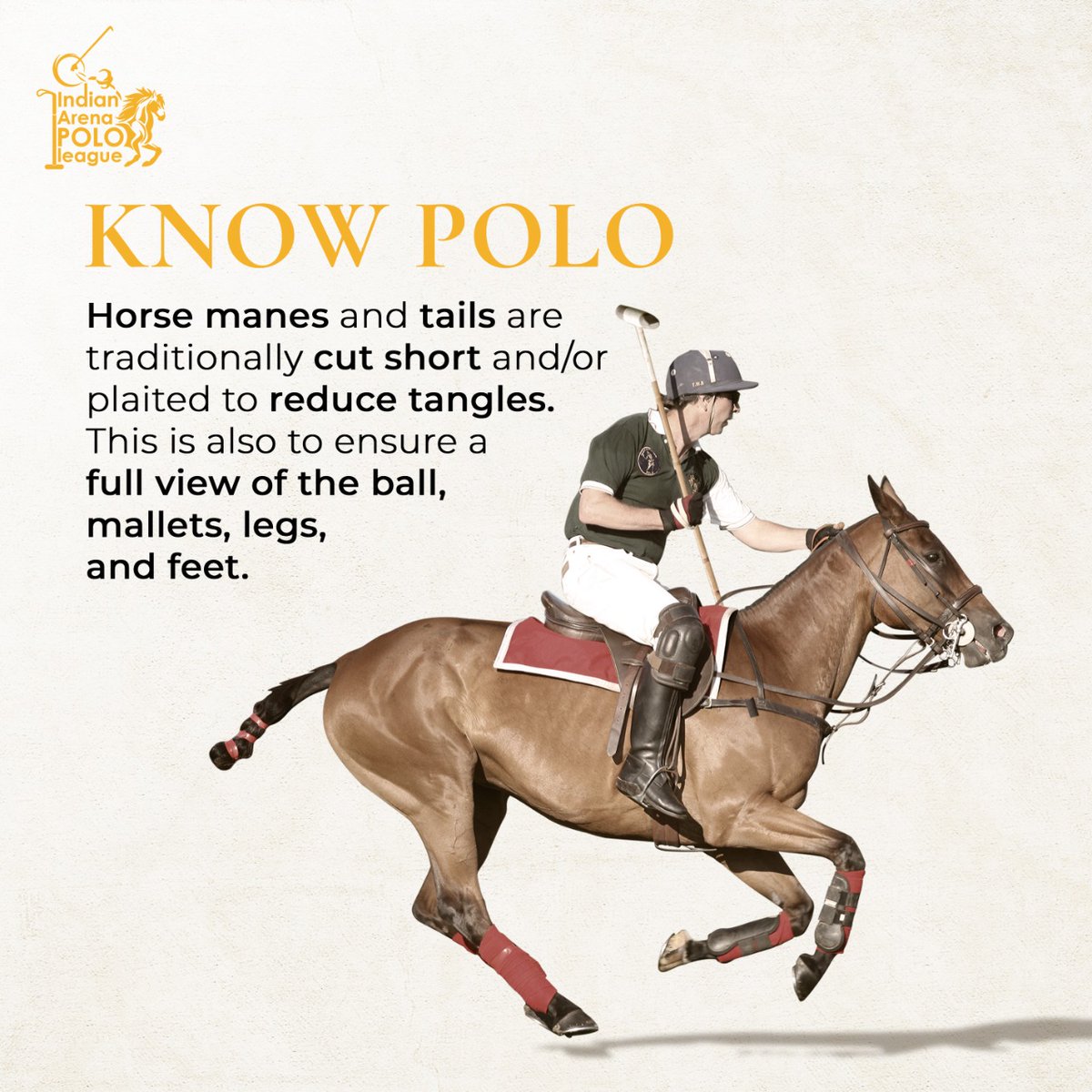 Indian Arena Polo League tweet media