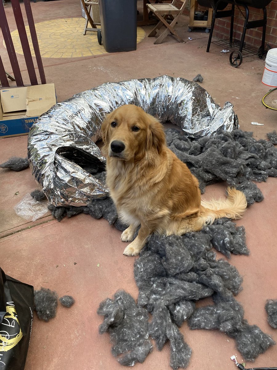Dog decided to help me lay some duct