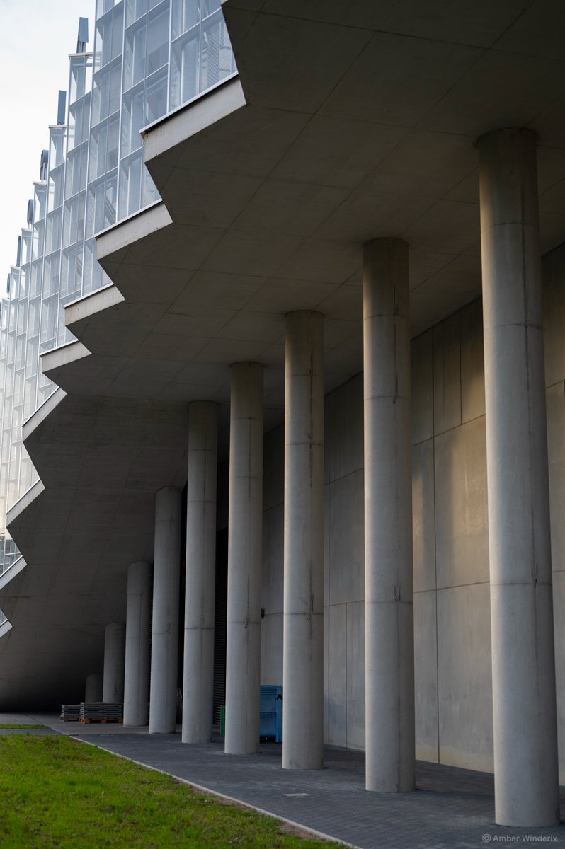 InAgrotopia tweet media