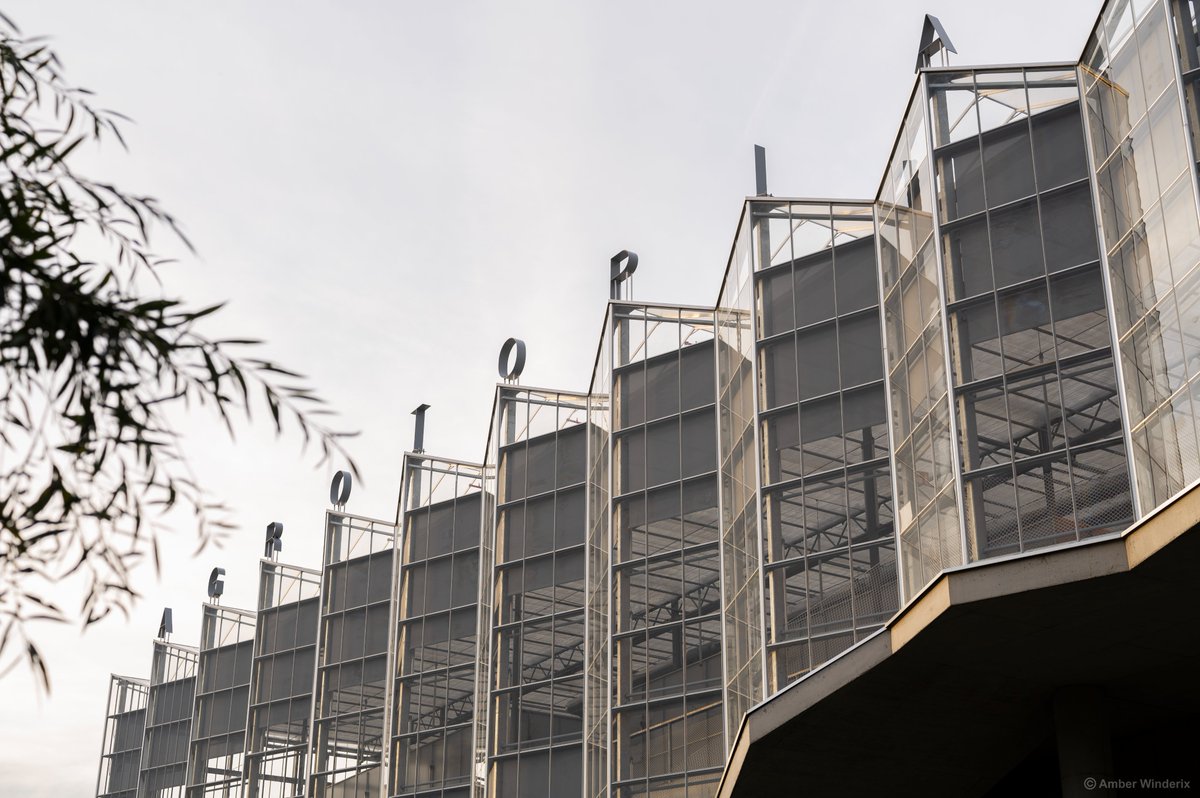 InAgrotopia tweet media