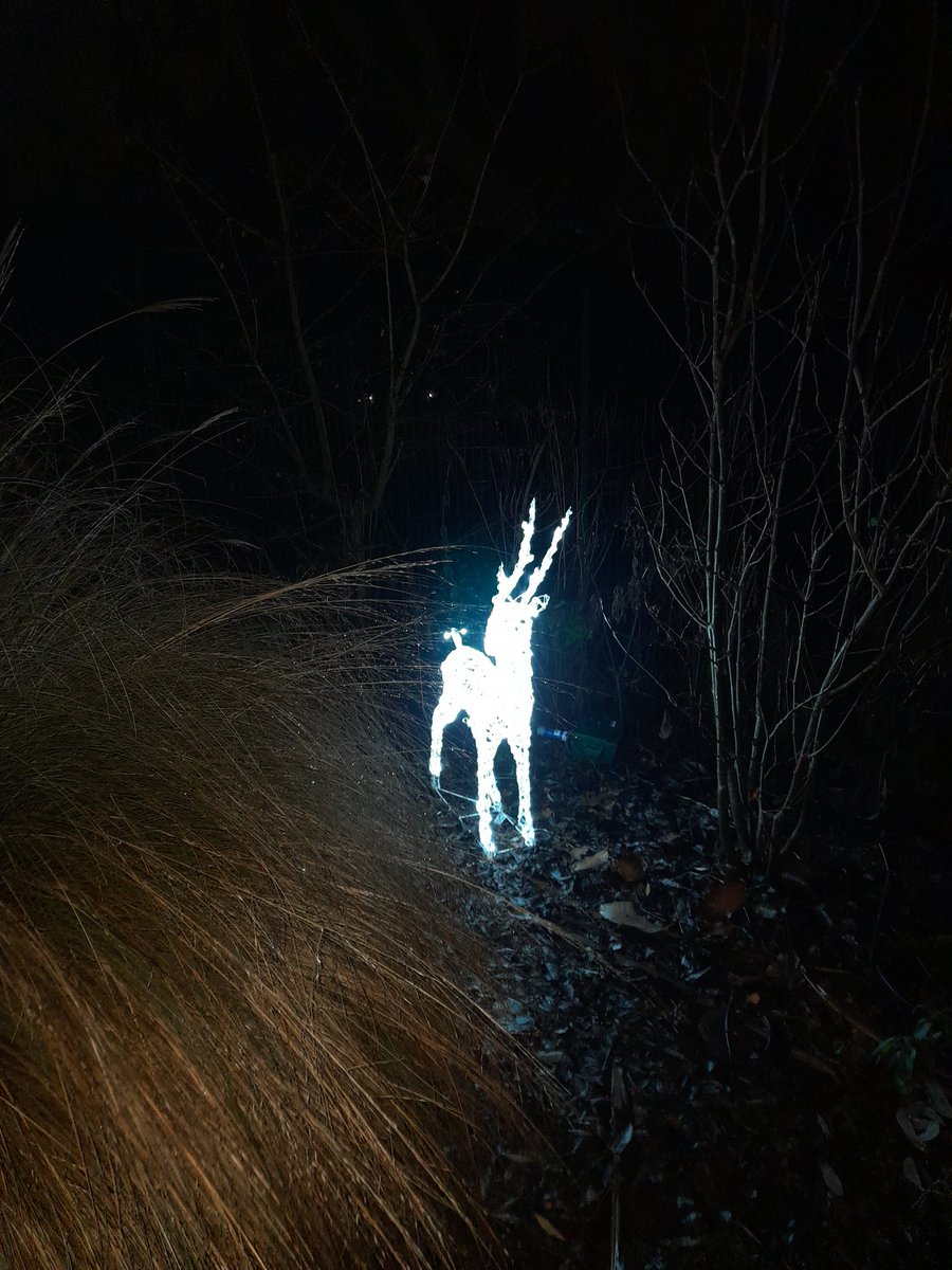 Artyfarty1982's tweet photo. Good Morning #WritingCommunity from the West Midlands UK, hope everyone's projects are going well. I haven't had chance to write lately, so enjoy these #festiveseason photos instead from #Luminate light show. https://t.co/a1xCLfWxZ5