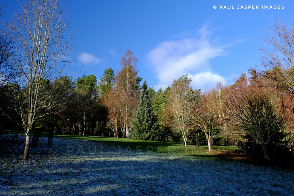 jaspersimages's tweet image. A cold frosty morning visit to Hergest Croft Gardens sitting alongside Offas Dyke Path at Kington close to the Powys border. Enjoying season ticket and solitude, except Table 8 was growing impatient for breakfast!😀 @HergestG @ThePhotoHour @StormHour @StormHourMark @OffasDykePath