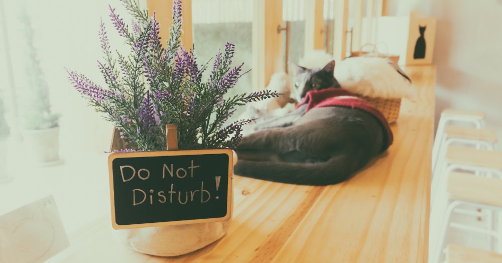 Do Not Disturb - Did you know that you could pause viewings on your property through the Christmas period? akya.io/63982Eb8217Ee?…