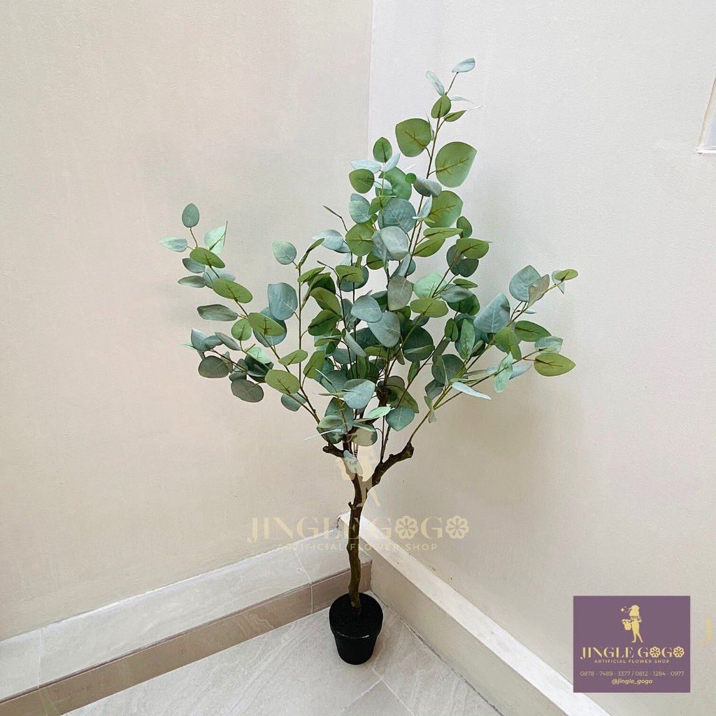 threadshopee's tweet photo. Tanaman palsu cocok buat hias kamar✨

https://t.co/8iFdJLFjxX https://t.co/aT1iNSNjRo