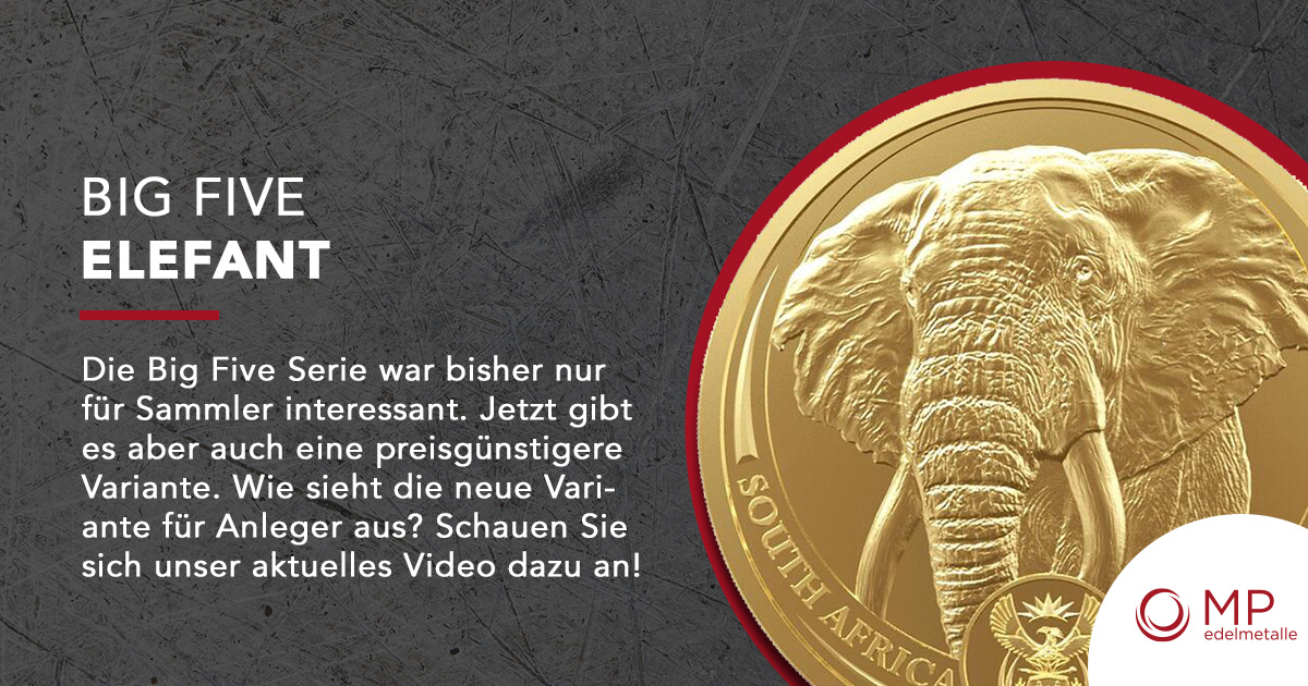 MPEdelmetalle's tweet photo. Die Big Five Münzserie aus Südafrika war lange Zeit nur den Sammlern ein Begriff. Jetzt ist auch eine Variante für Anleger erschienen. Wie sieht diese aus? Schauen Sie sich unser Youtube-Video zu diesem Thema an: https://t.co/wppmfjfyN2 #Elefant #BigFive #Südafrika #Gold https://t.co/Kyk1oLQYhU