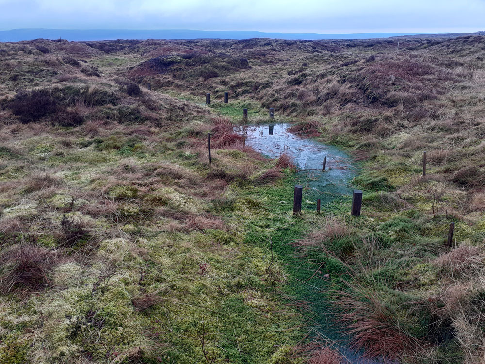 peakdistrict's tweet photo. Learn about @moorsforfuture's pioneering scientific monitoring site that was instrumental in @naturalengland's historic decision to increase the size of the Kinder Scout National Nature Reserve by 226 hectares in August this year...

👉 https://t.co/BhqiATVlml https://t.co/z30LqeUe2V