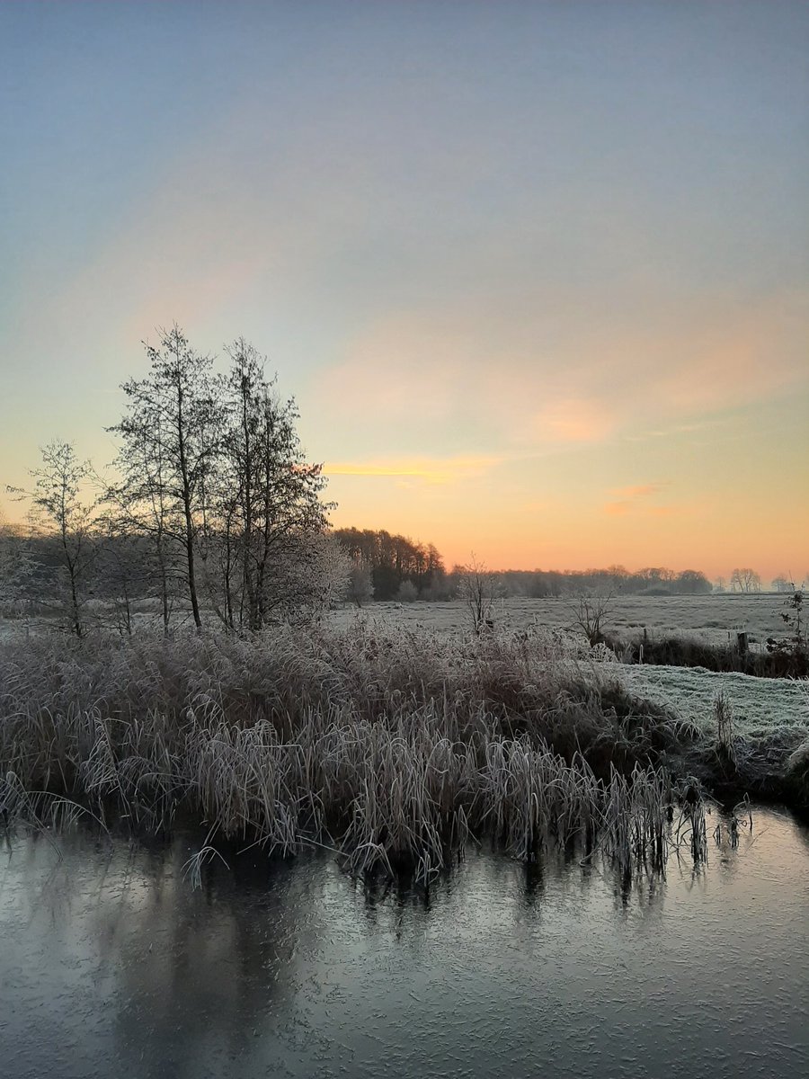 Cees Beukema tweet media