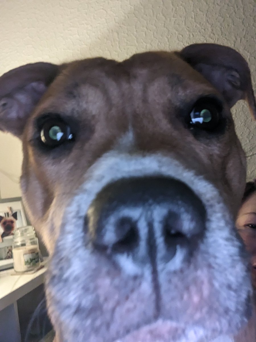 Good morning one and all, hope you're all well and have a terrific Tuesday xx