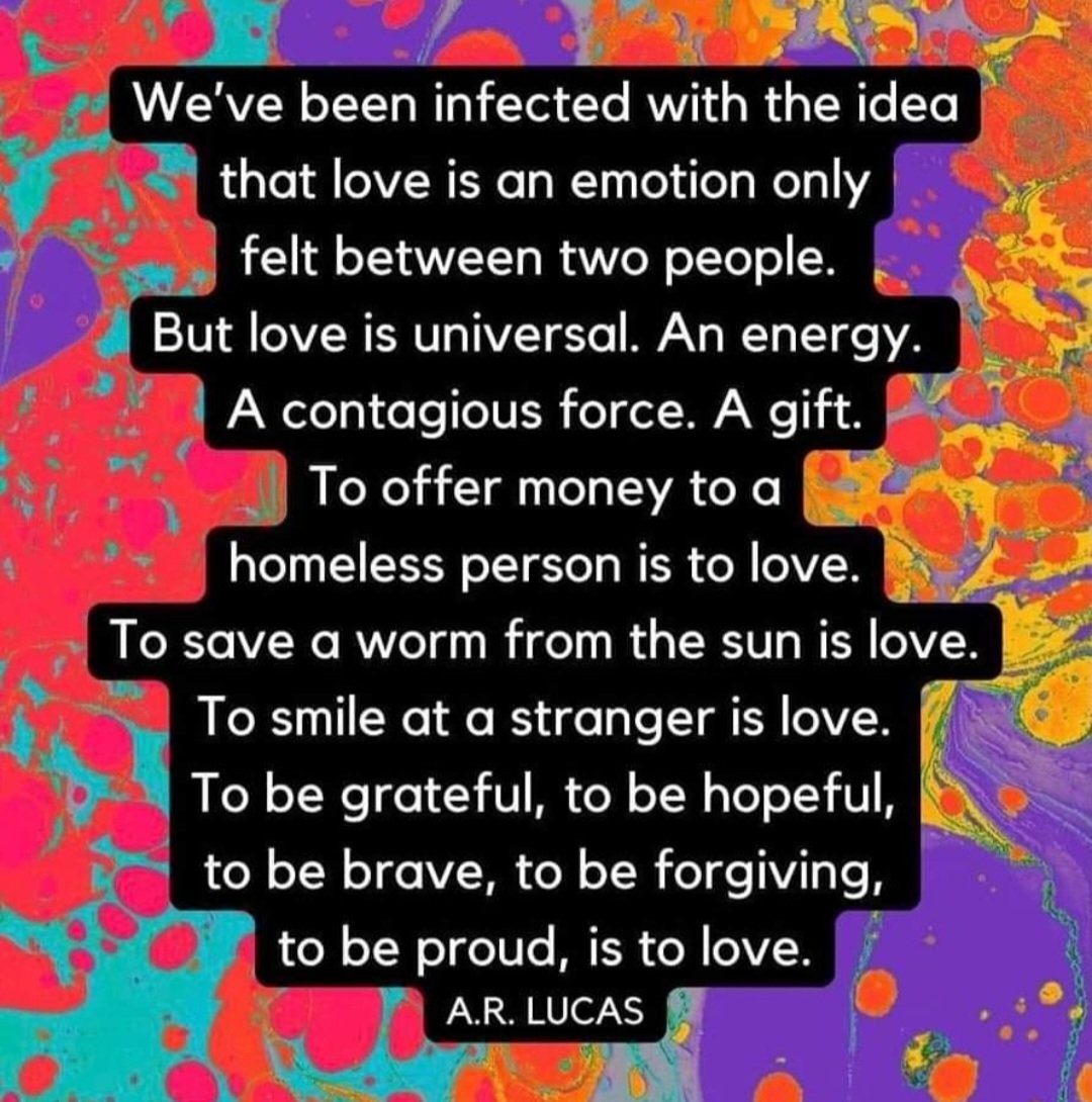 Monica 🌊🌻💙🏳️‍🌈 (@softtail65) on Twitter photo 