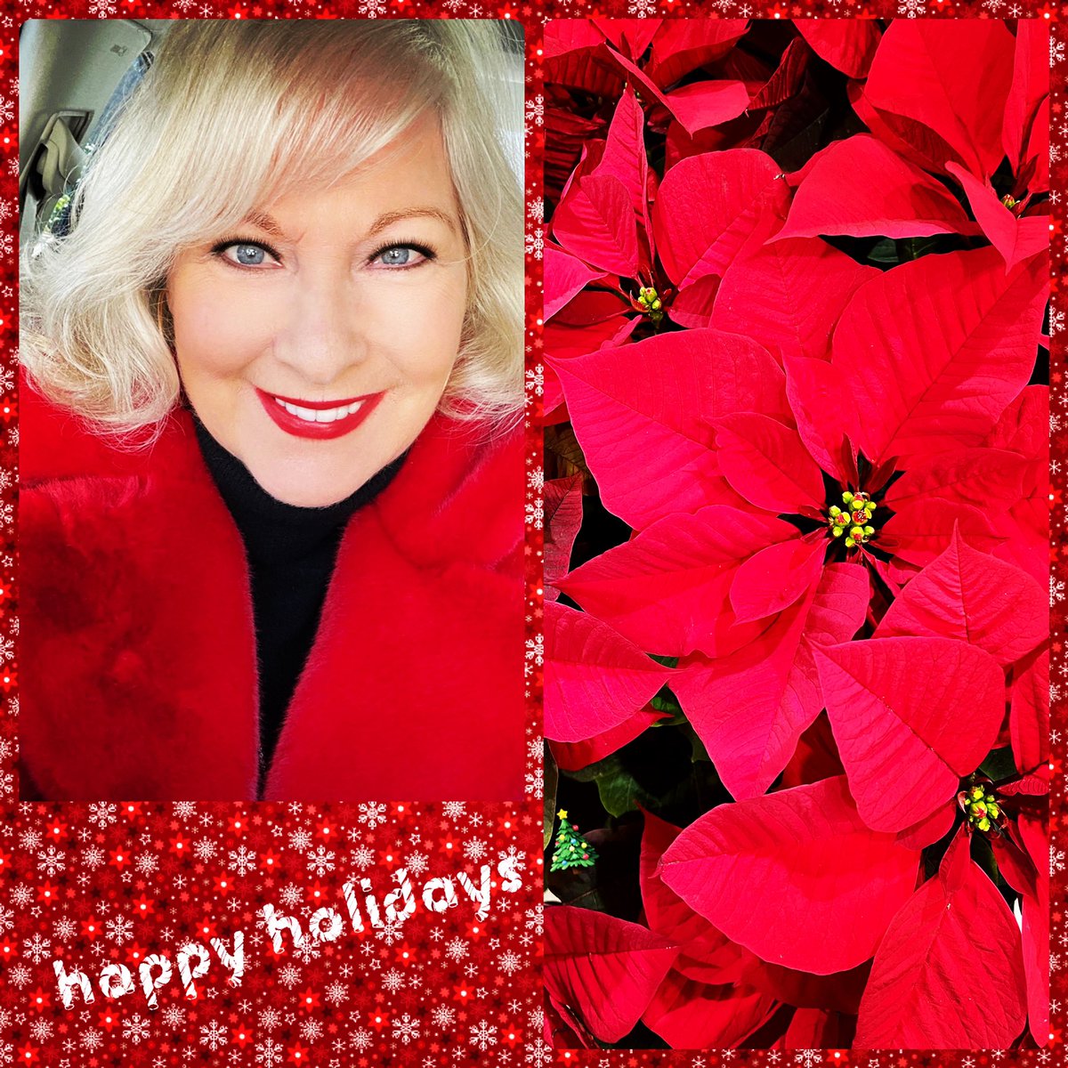 Catherine Carlen tweet media