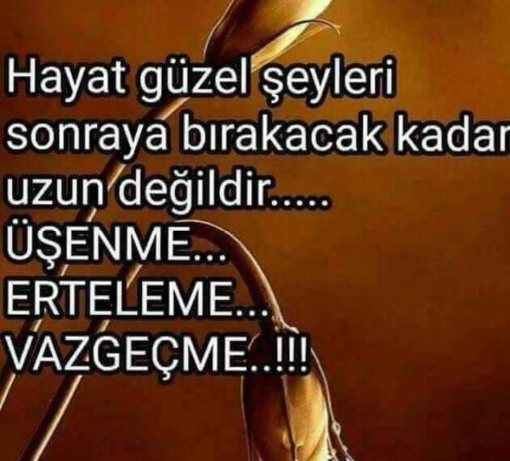 Dostluk illa yan yana diz dize olmak değildir. Asıl can cana kalp kalbe olmaktır.
#GÜNAYDIN #SALI #YENİGÜN #YENİUMUTLAR