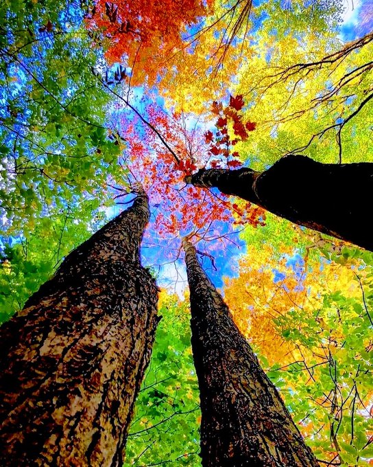 #nature