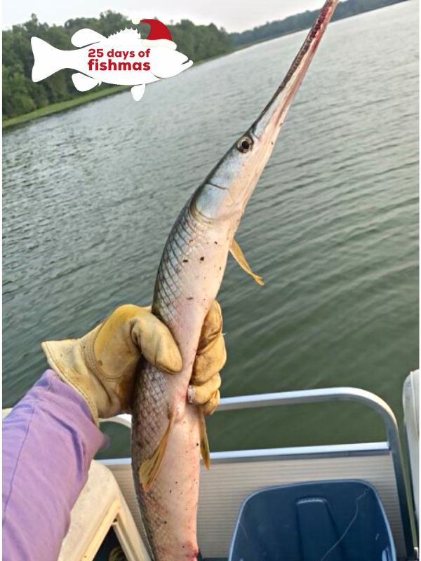 Holly Anderson 🍇 on Twitter "RT OtterTailCounty Day 13 of our