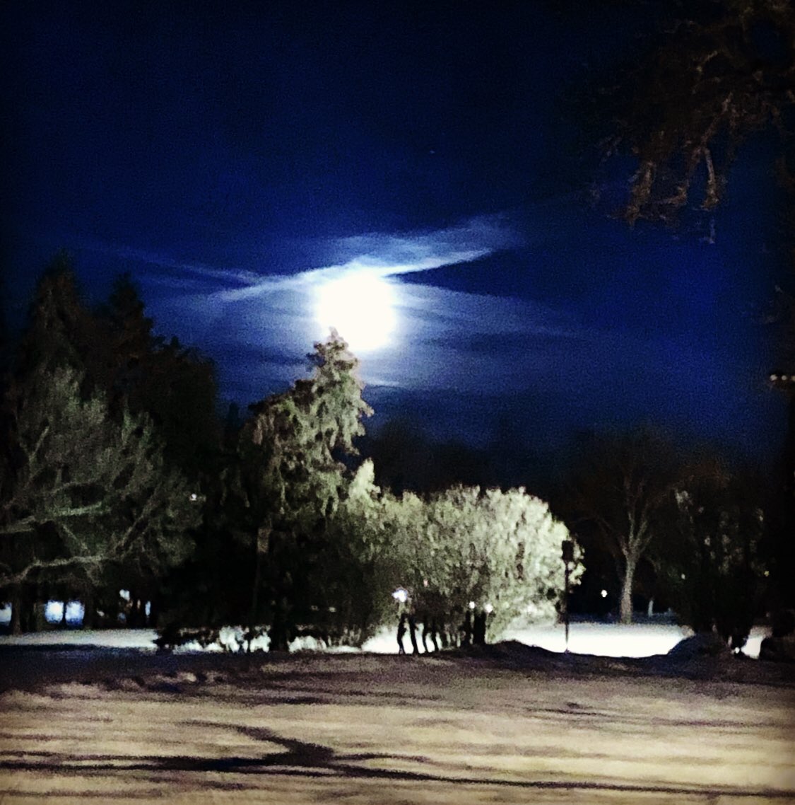 I found her or she found me 
*Our grandmother the night sun ( moon) ᑰᑯᒥᓇᐤ  ᑎᐱᐢᑲᐏᐲᓯᒼ