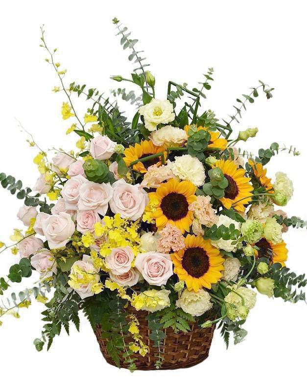 CASHBACKPRO102's tweet photo. 💐💐💐 Congratulations to Members Nong Thi Kim Dung on officially becoming the 38th Millionaire at CBP. 

🎁 Reward: 
1. Gold Badge PIN 
2. Congratulations flowers Best regards! https://t.co/q66iT2TCbb