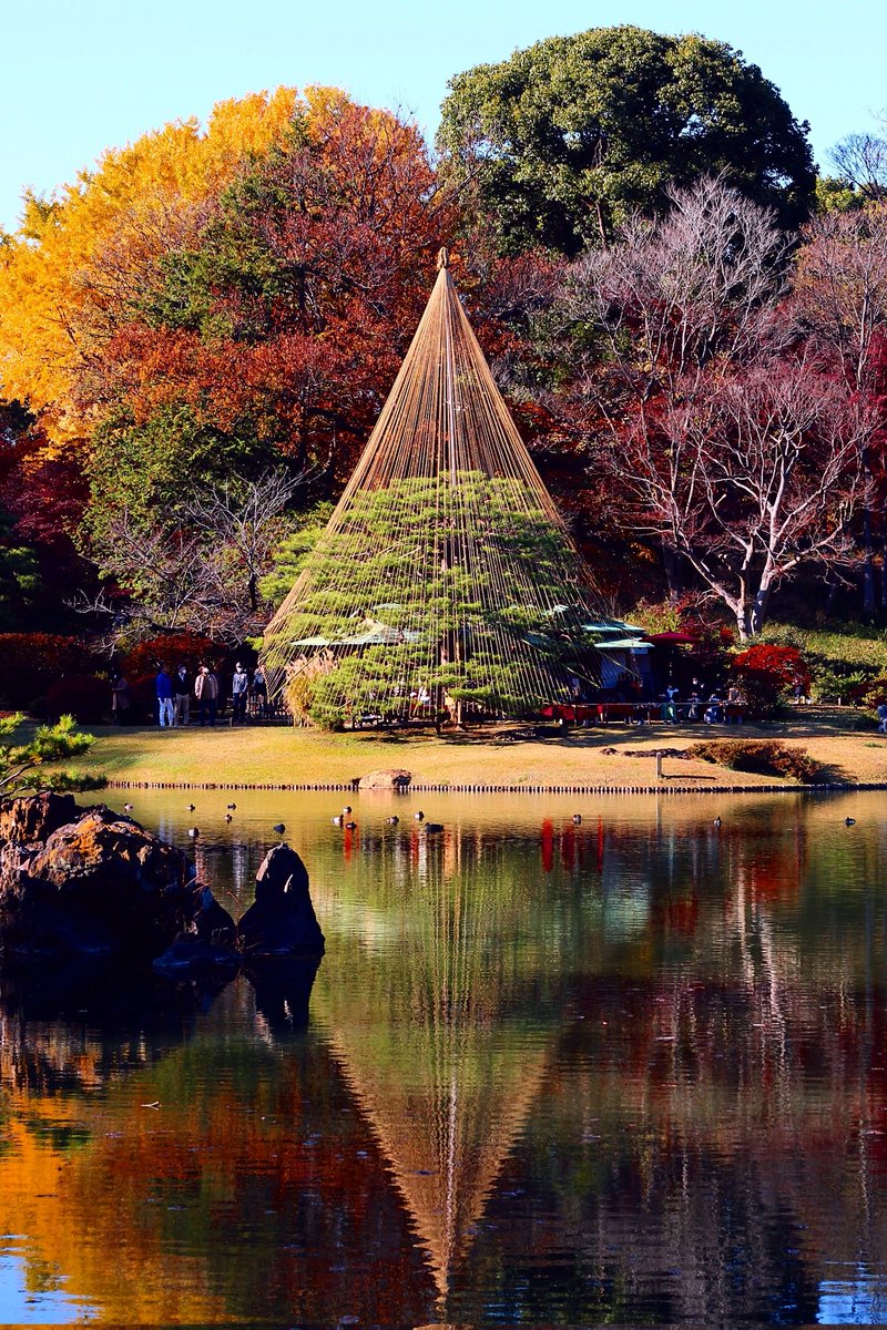 六義園の紅葉①