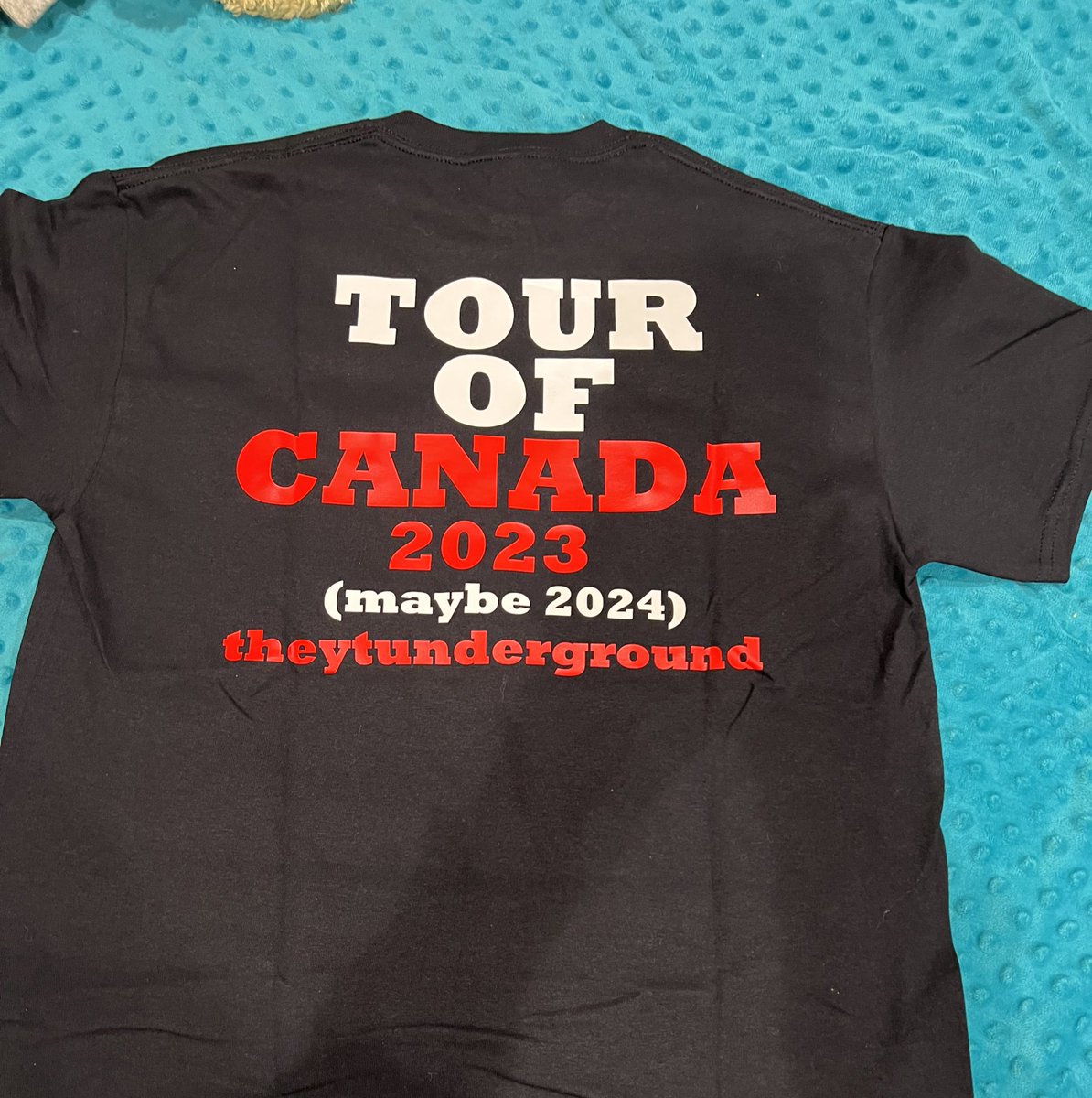 KB_Collision's tweet photo. I don’t update my wardrobe often, but when I do, I select only the most fashionable of tops. @ytunderground23 #theyoutubeunderground #theytunderground #funclebaby #poutine #foodiescooty #canada2023 #yaba #foodiebeauty #thesupportgroup https://t.co/AQPjC3xdYw