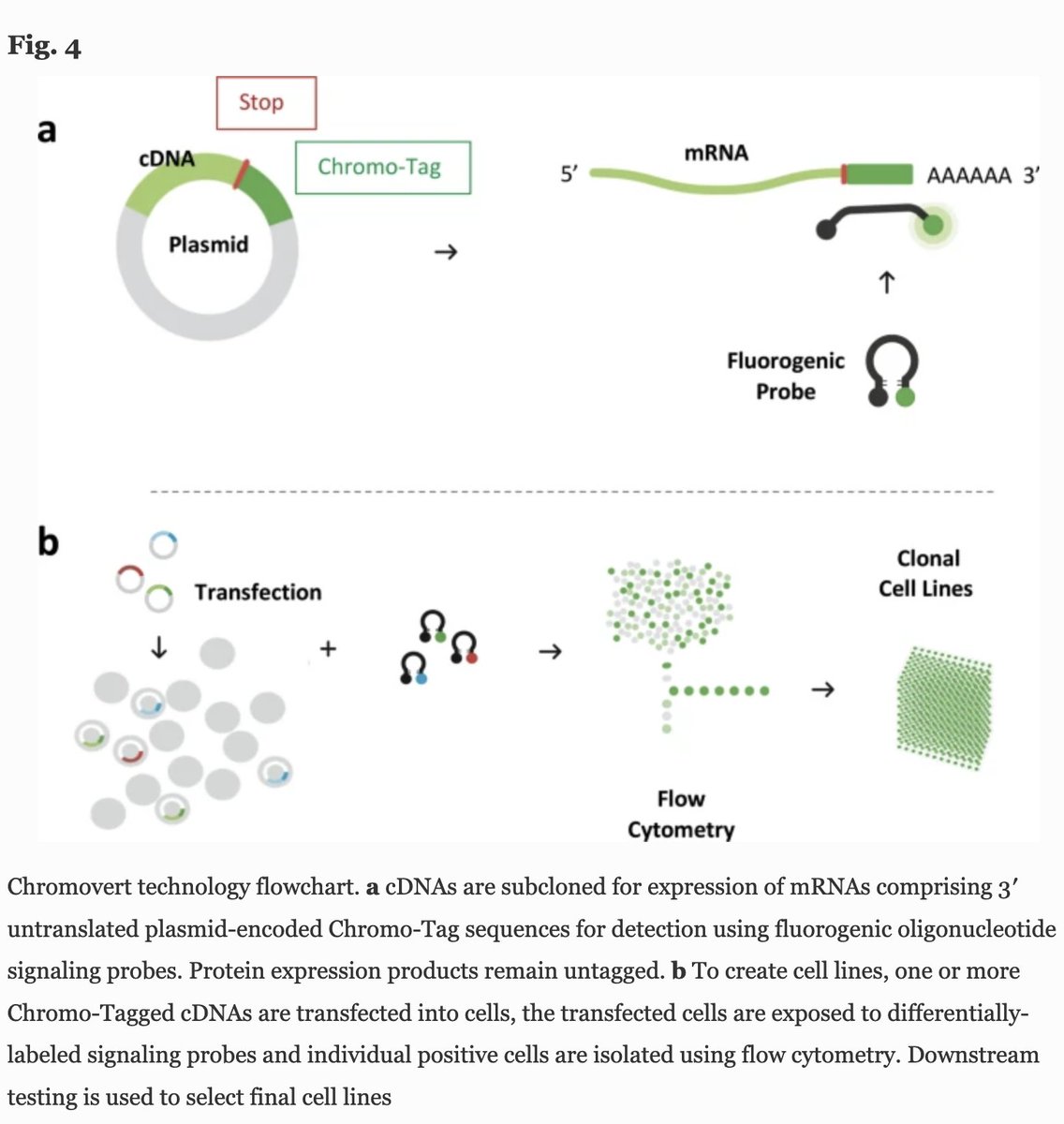 “Drug Discovery” is highly ineffective with industry-average failures of 98%, driving up the cost to produce new drugs to $1.8B each. Improvements are needed at all stages of the process. Enter #chromovert: link.springer.com/article/10.100… #abudhabi #UAE #biotechnology #kambizshekdar