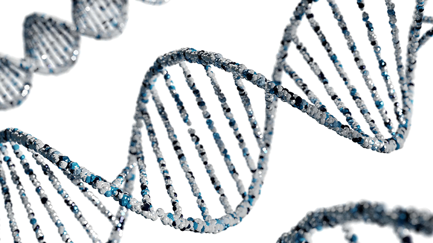 RodriguezpardoA's tweet photo. Das Wirtschaftsmagazin NEW BUSINESS hat ein Artikel über die Einführung von Innovation in die DNA von Unternehmen des 21. Jahrhunderts von Almudena Rodriguez Pardo veröffentlicht!

Hier geht es zum Artikel:
https://t.co/gDBY1YLwUJ

#innovation #agility #business https://t.co/eVhONeexpK