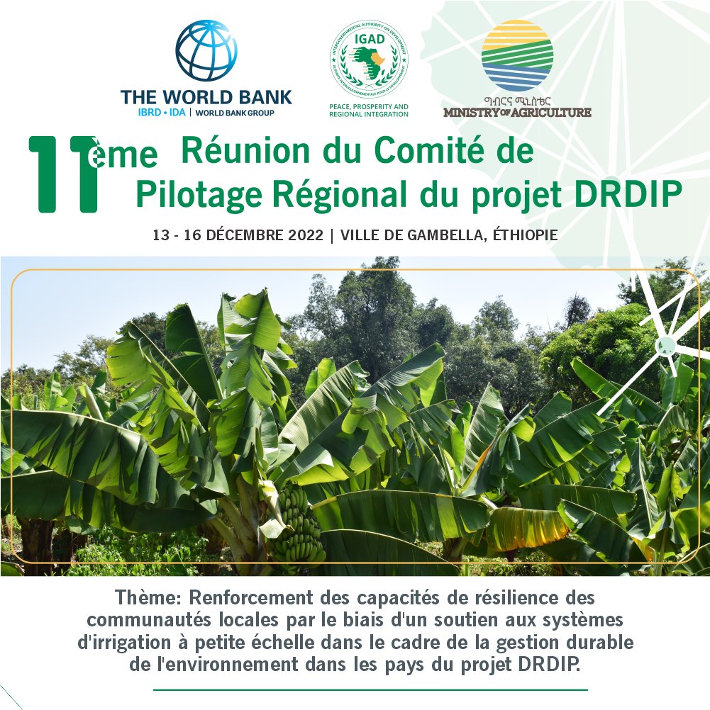 IGAD DRDIP (@drdipigad) on Twitter photo TODAY: 11th #DRDIP Steering Committee meeting will focus on the contribution of small-scale irrigation schemes towards enhancing #self-reliance and #resilience for refuge hosting communities of #Djibouti, #Ethiopia, #Kenya and <a href="/Drdip_ug/">DRDIP Uganda</a> | Gambela region, Ethiopia TODAY: 11th #DRDIP Steering Committee meeting will focus on the contribution of small-scale irrigation schemes towards enhancing #self-reliance and #resilience for refuge hosting communities of #Djibouti, #Ethiopia, #Kenya and <a href="/Drdip_ug/">DRDIP Uganda</a> | Gambela region, Ethiopia