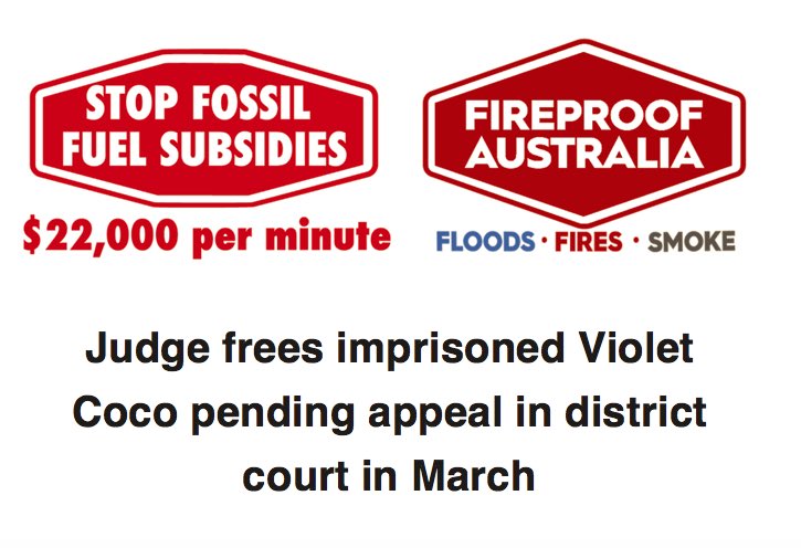 stopffsubsidies's tweet image. A fair outcome for #VioletCoco today as she is released from jail. Media release here: mailchi.mp/fireproof/stop… #auspol #NSWpol @Dom_Perrottet @PaulTooleMP