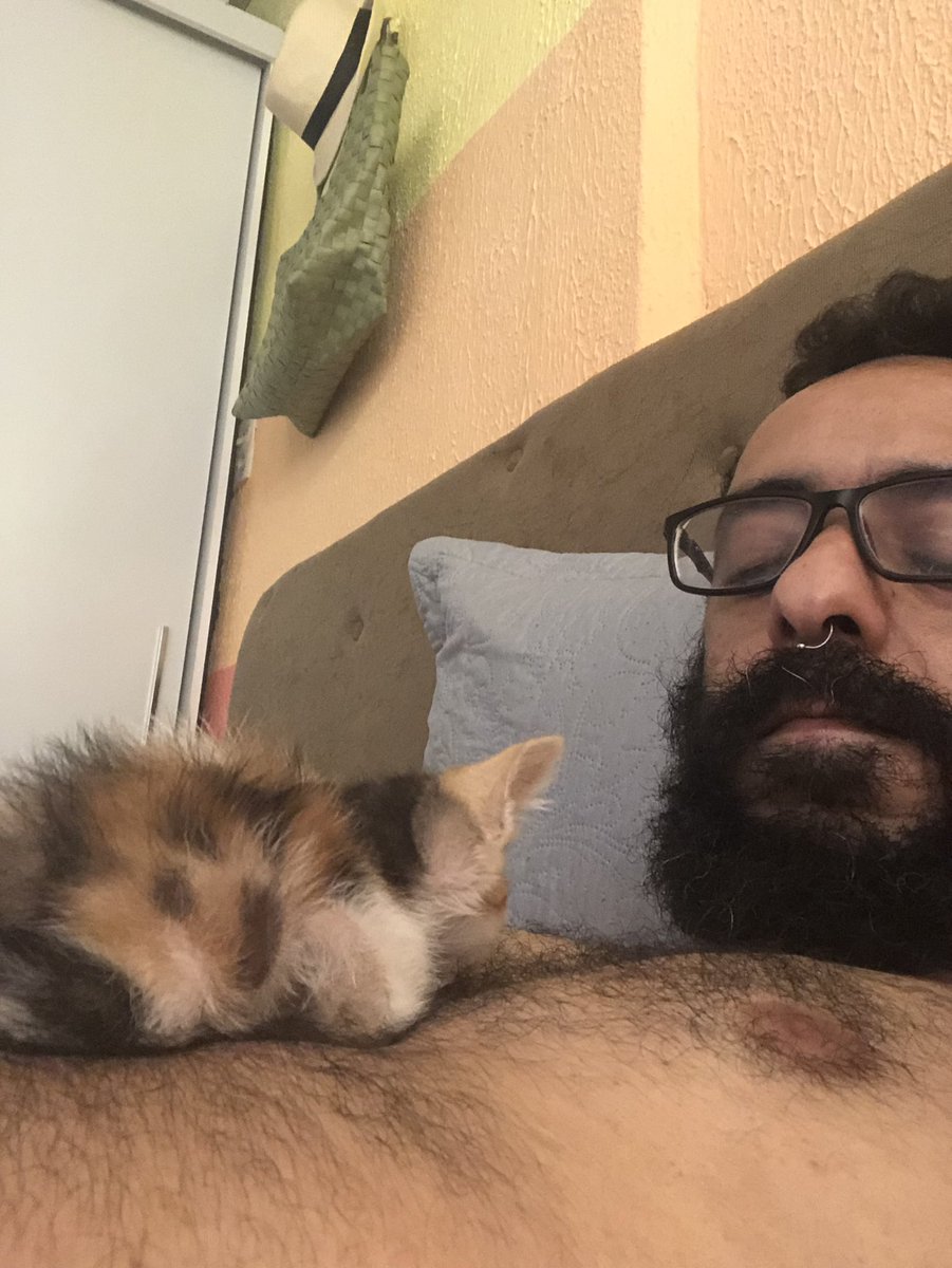 itssecretman's tweet photo. Ah então, uma breve atualização da nova moradora do meu coração: https://t.co/fB5etUv5KF