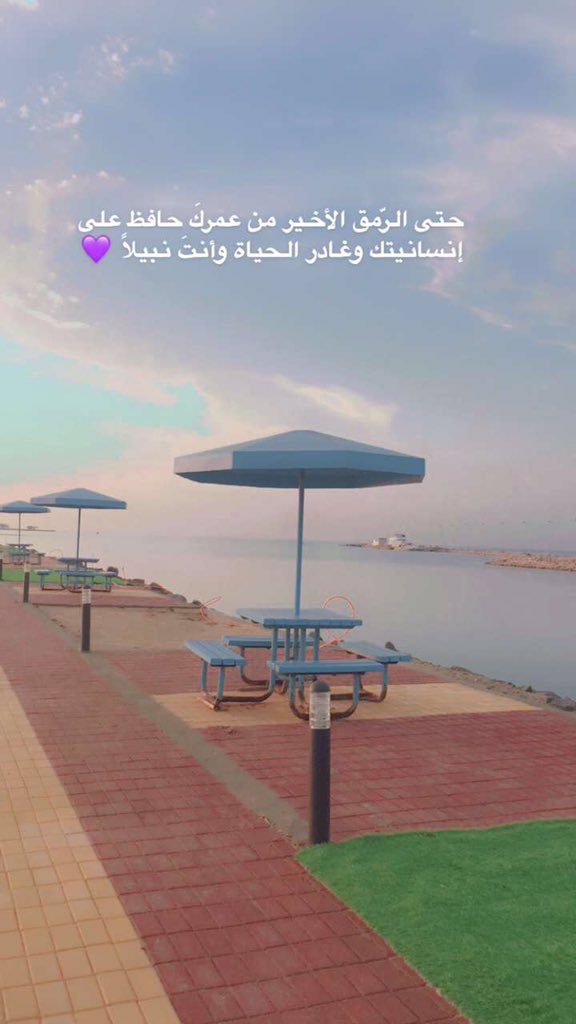ahmad30391's tweet photo. حتى الرّمق الأخير من عمركَ حافظ على إنسانيتك وغادر الحياة وأنتَ نبيلاً 💜. https://t.co/NzKkU0sK3R
