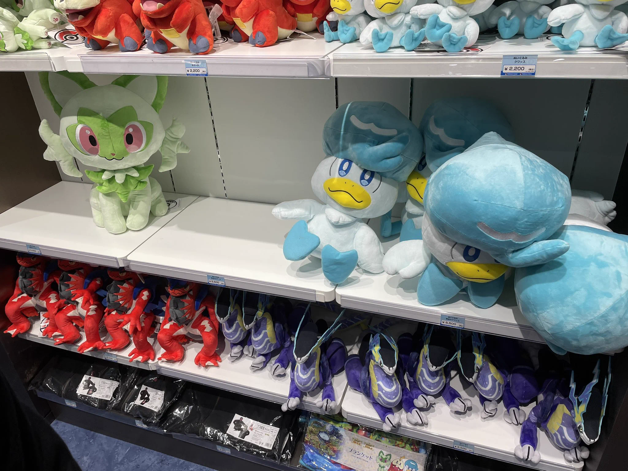 @nintendoevery 金沢のポケセンです 