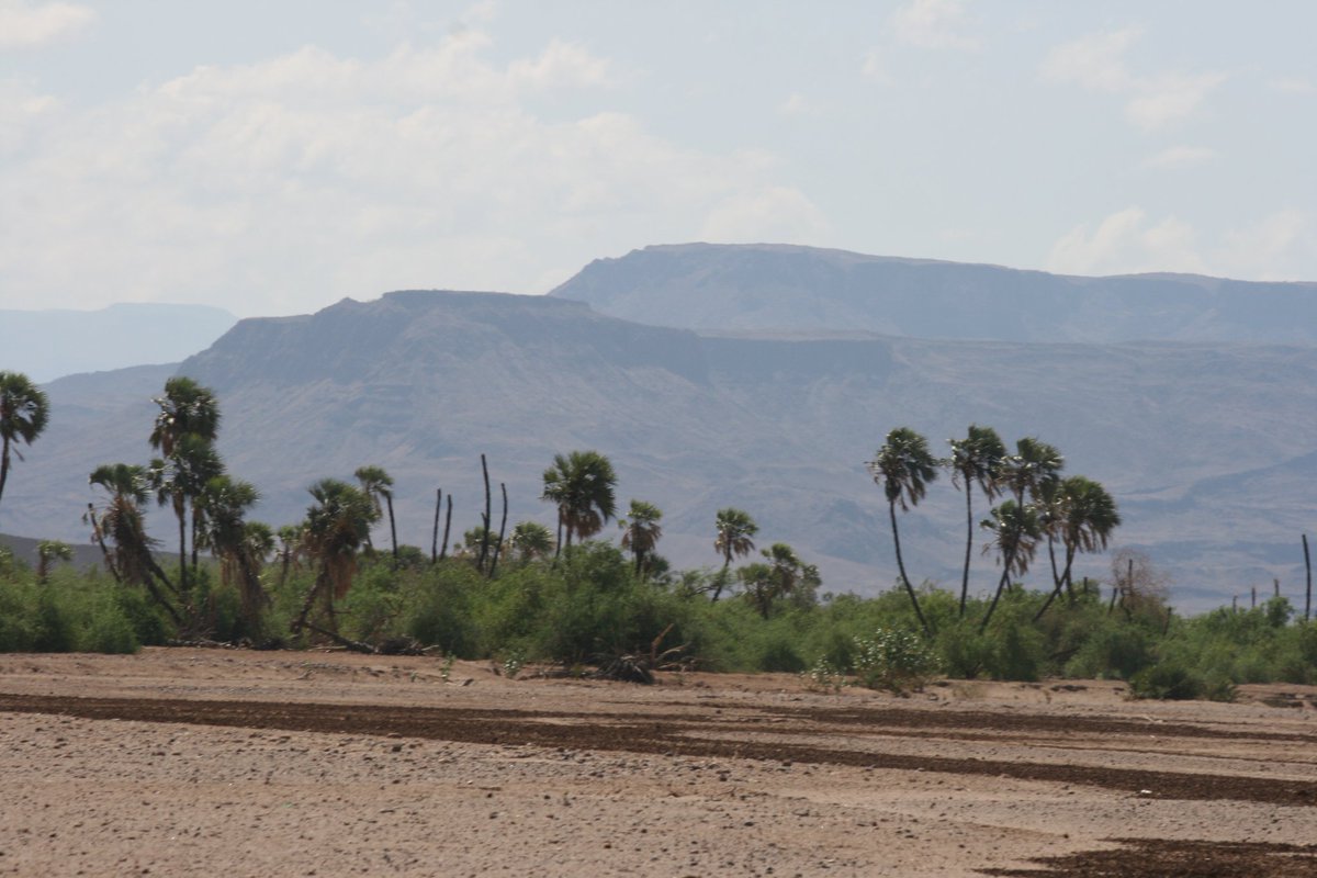 <a href="/ElemaSarah/">Sarah Elema</a> <a href="/chalbiextreme/">Chalbi Desert Extreme</a> You can try this road from Baragoi to Lodwar through Suguta Valley mpitie Eliye Springs ! It has lots of magnificent scenery 👌! 4WDs only