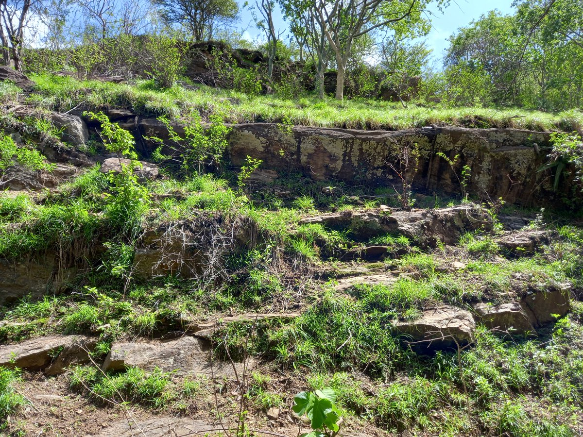 <a href="/chalbiextreme/">Chalbi Desert Extreme</a> Ndoto Mt. 
Arsim Samburu