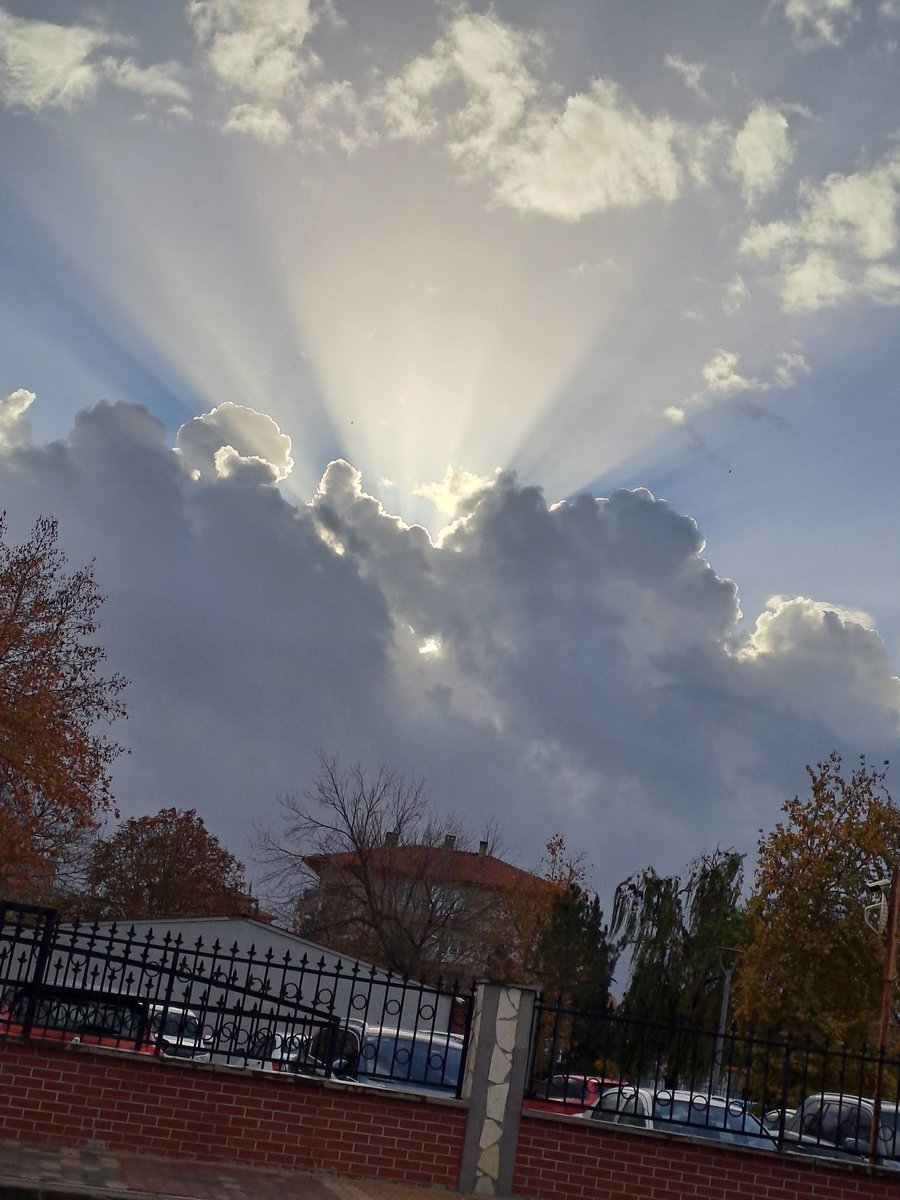 Ali Yildiz (@aliyild16495856) on Twitter photo 