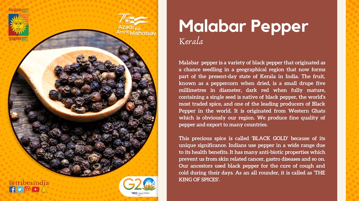 TRIBES INDIA on Twitter "Malabar Pepper This precious spice is