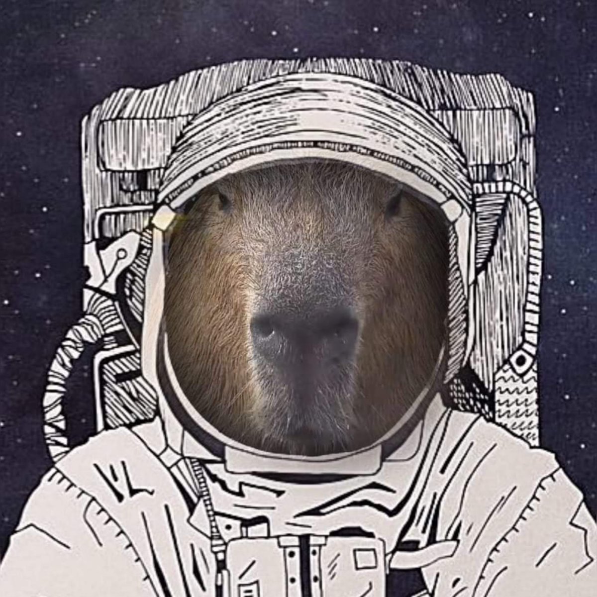 Cosmic_Capybara's tweet photo. I made this, so anyone using it. You're welcome 👍😉👍 #ThinkCosmic https://t.co/g58dQE9BrG