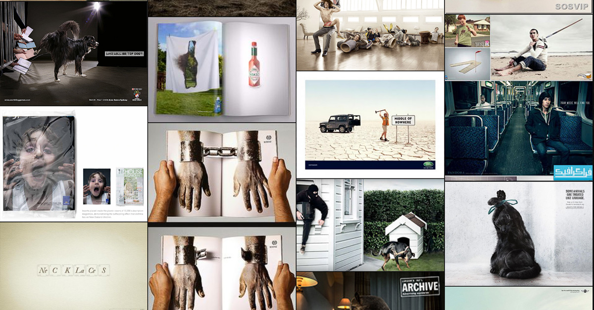 Tim Gibson tweet media