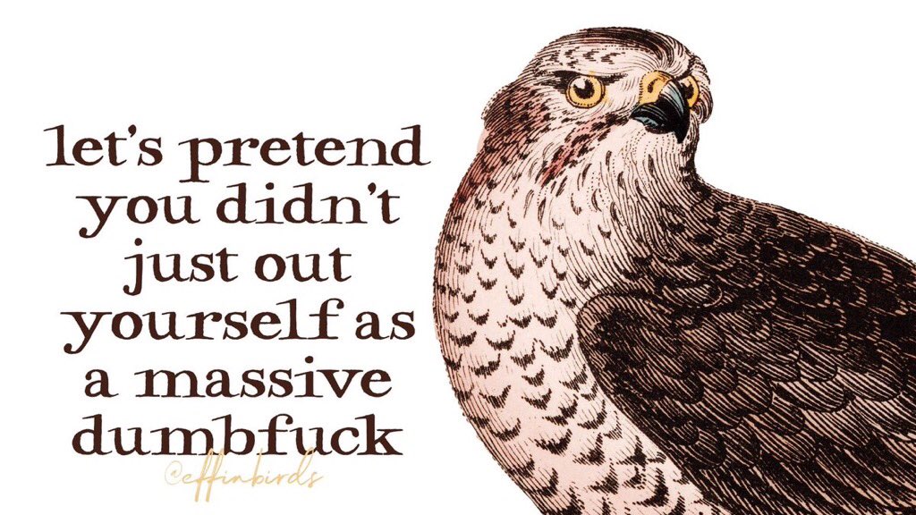 Matthew Brady tweet media