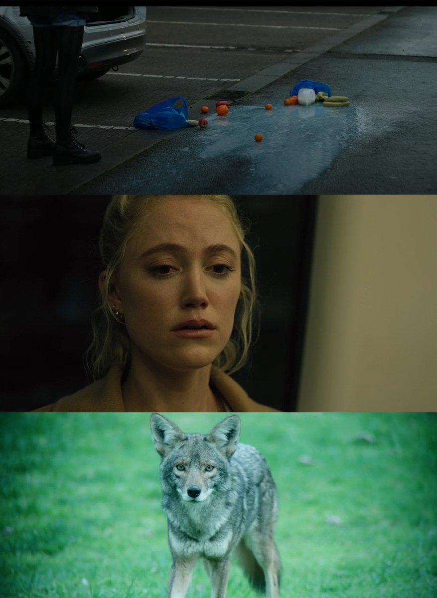 Sabrehagan's tweet photo. The 5 Creepiest Scenes from 2022 'Year of #Horror'...
5. Spilt milk #Matriach
4. In the shopping bag #Watcher
3. Witch's Familiar #TwoWitches
2. Gestation #MenMovie
1. The Party Clown #Shriekshow https://t.co/zeWxun9MCw