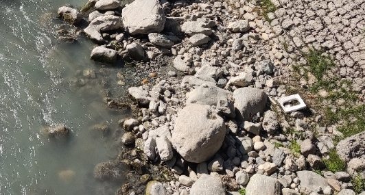 खुल्ला दिसा मुक्त क्षेत्र