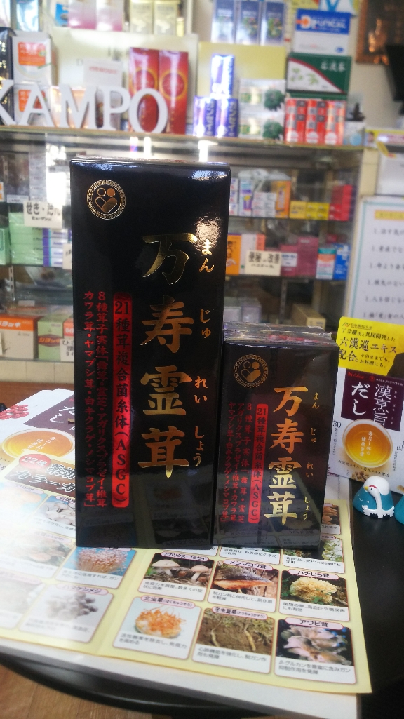 タキザワ漢方万寿霊茸450錠 | angeloawards.com