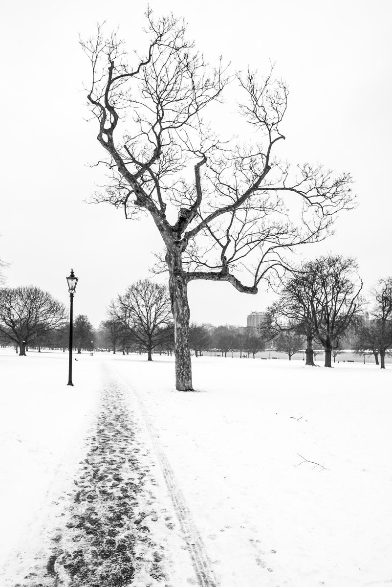 London Snow #photography #London #Snow #RoyalAlbertHall #LondonSnow