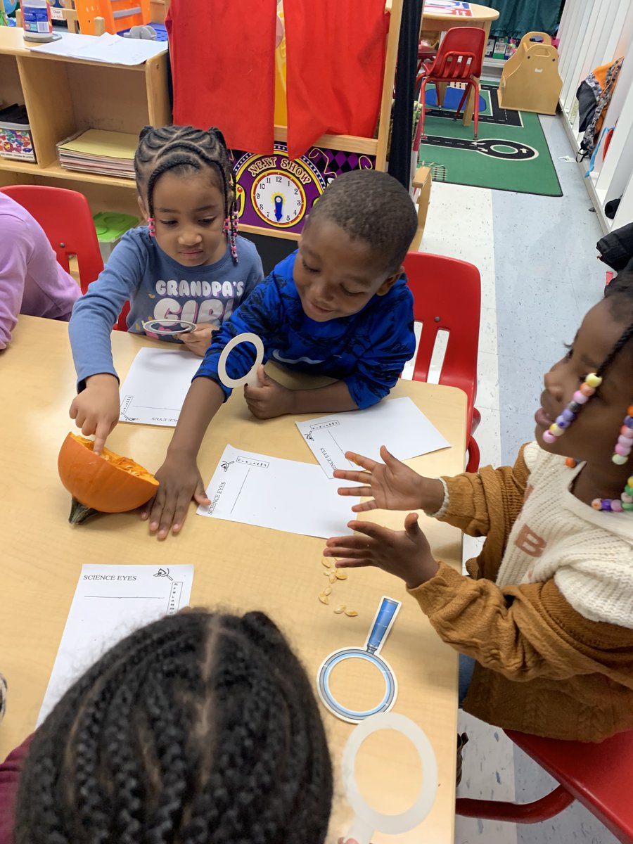 GablesGator's tweet photo. Science Eyes.  #preK #investigations #whatdoyousee @NeptuneSchools @Neptune_STEM https://t.co/GNMhc5AKvZ