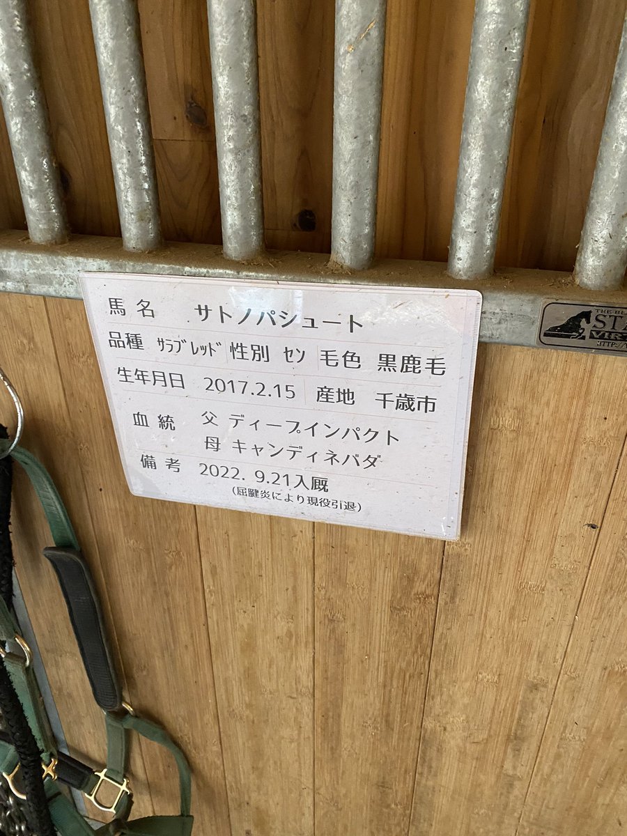 ちなみに、サトノパシュートは今年のJG1中山グランドジャンプに出走していました。  