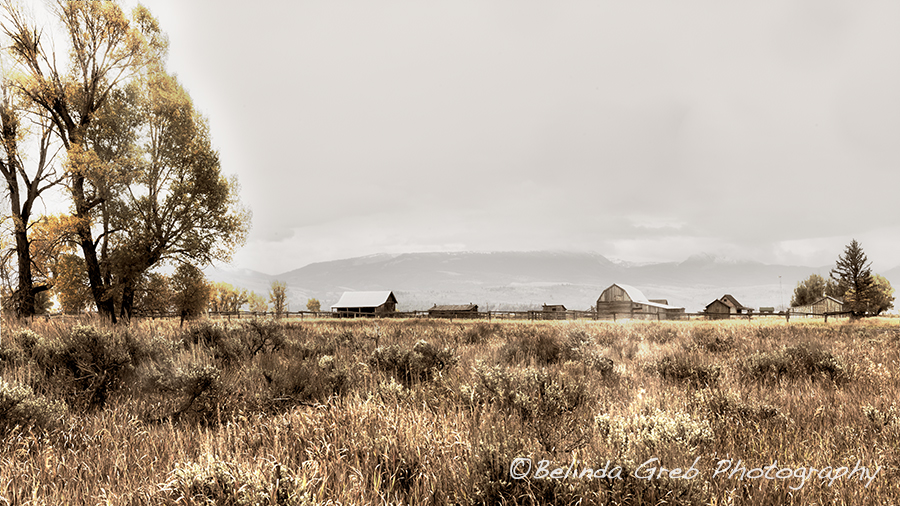 BelindaGreb's tweet image. Mormon Row, Grand Tetons goo.gl/0QoPnx Wyoming Landscape Photography by Belinda Greb
#naturephotography