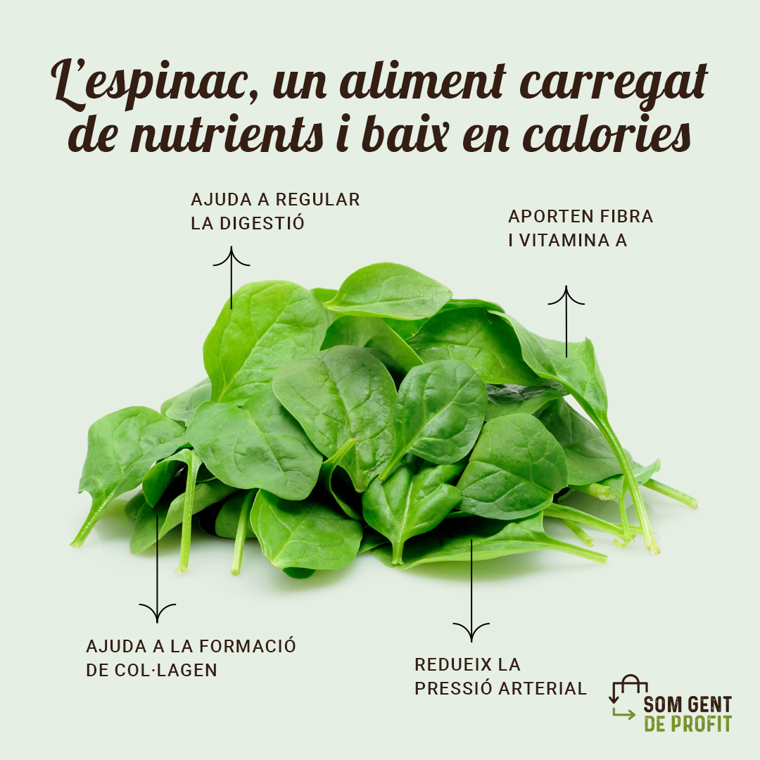 🥬L’espinac és un aliment carregat de nutrients i baix en calories. Aporta beneficis per a la salut visual, la pell, els ossos i el cabell. També és una font de proteïnes, ferro, minerals i vitamines, ideal per incrementar la vitalitat millorar l’energia i la qualitat de la sang.