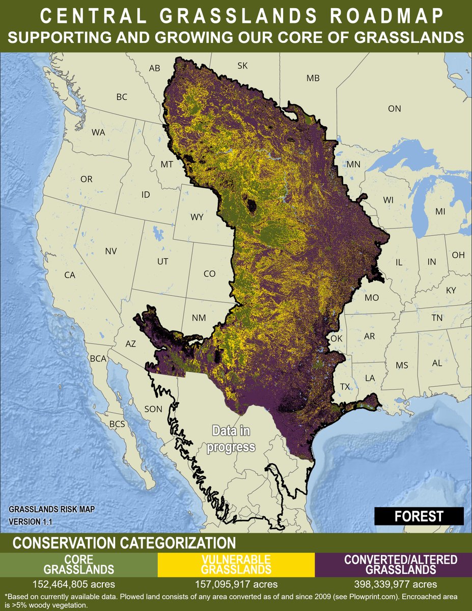 BirdConservancy's tweet image. We are proud to introduce the Central Grasslands Assessment Map. 

This map will help guide the improvement and health of our grasslands from degraded and fragmented to thriving, productive lands for both people and wildlife. 

ow.ly/fUle50LYFwI