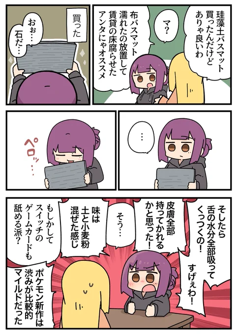 珪藻土バスマットの味(日記) 