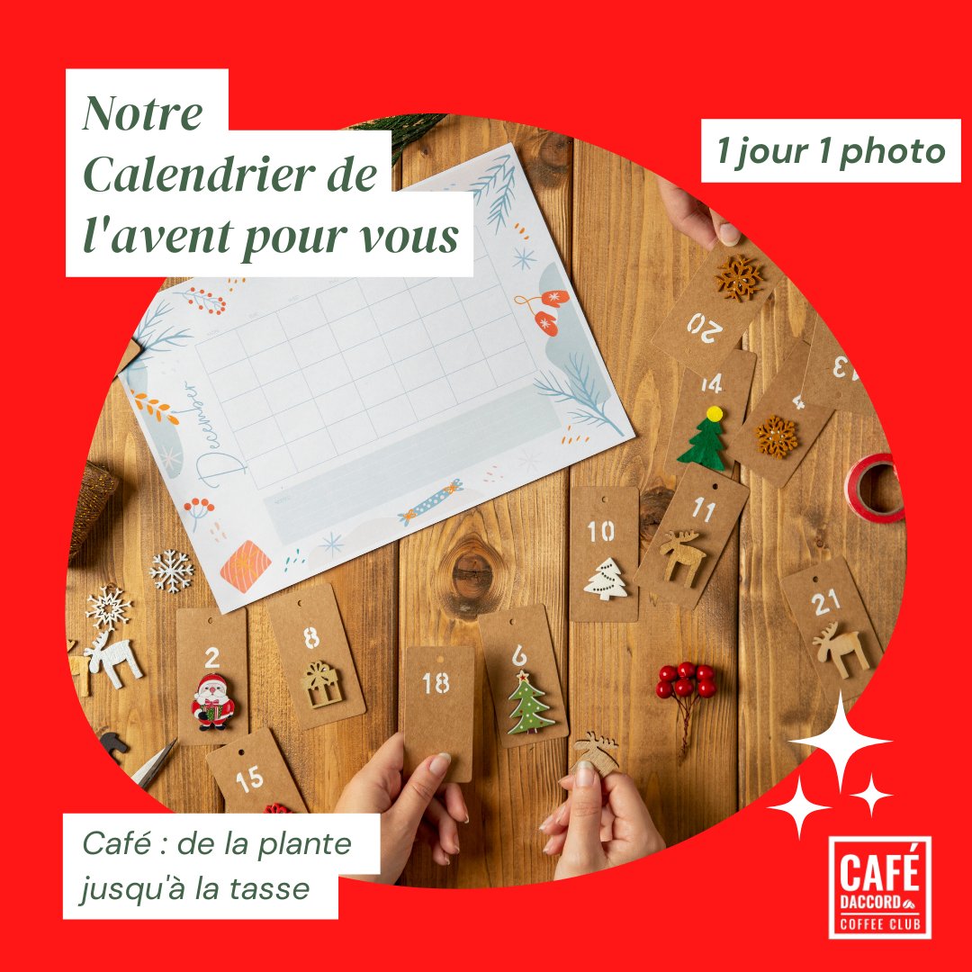 CafeDaccord's tweet photo. cafedaccord D’où vient le café ? Où pousse-t-il où et comment ? Suivez-nous ici et découvrez grâce à notre reportage photos d’où vient le café et comment il arrive jusqu'à votre tasse ! 1 photo par jour...⁠
⁠
#cafedaccord #coffee #coffeetime #coffeegeek #torrefacteur #bordeaux https://t.co/6ym1zc232A