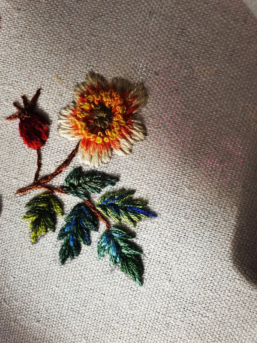 HanHanmade7589's tweet photo. Wild Rose #Embroidered #broderie #bordado #handmade #artlover #custom https://t.co/RSuAM2zOtp