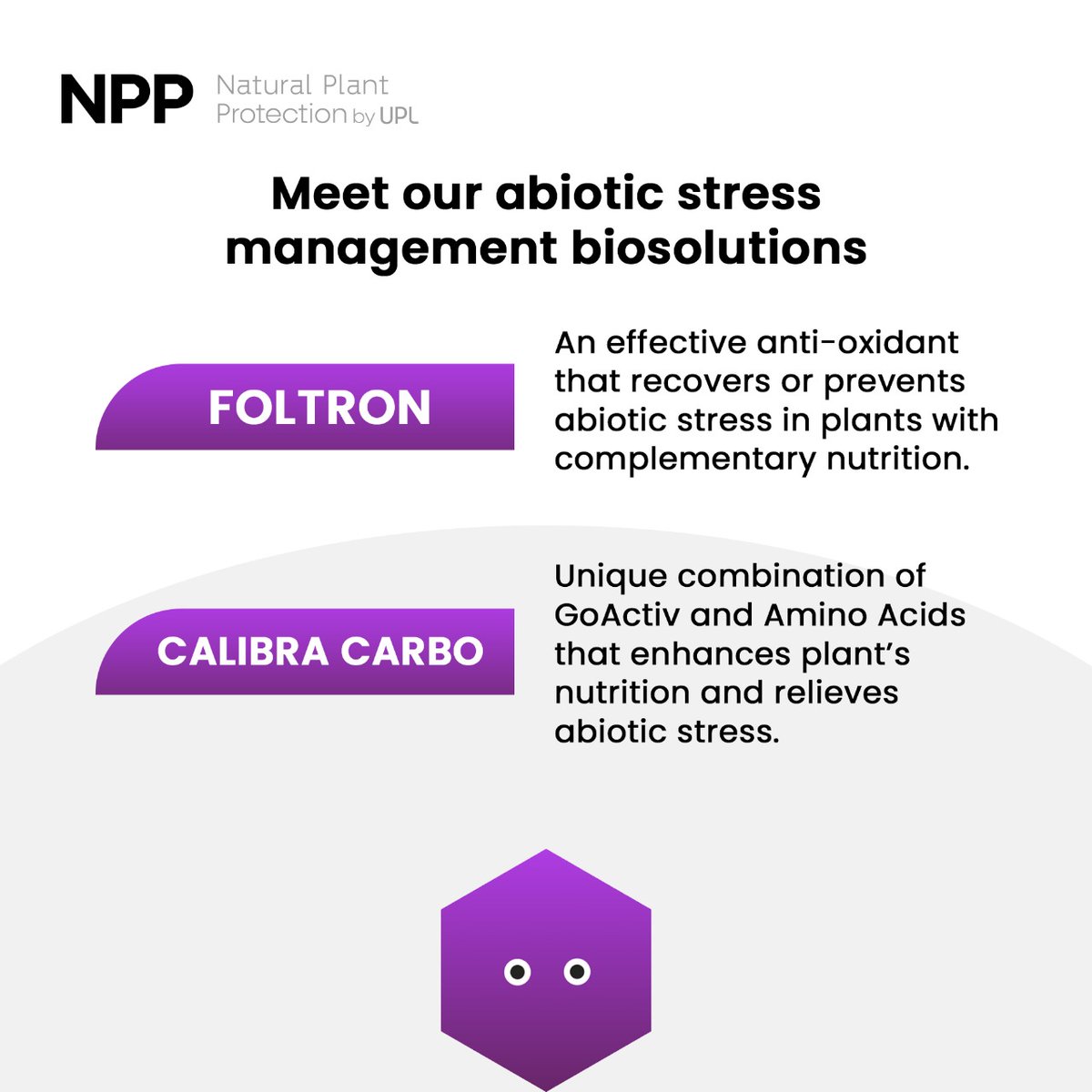 NPP_global's tweet photo. Abiotic stress caused due to extreme weather condition is a major threat to growing plants as it affects their health adversely. NPP’s innovative product range is designed to help plant mitigate this stress.
#NPP #Biosolution #Abiotic #Stress #Nutrition #Management #Plants https://t.co/UuwspCCctH