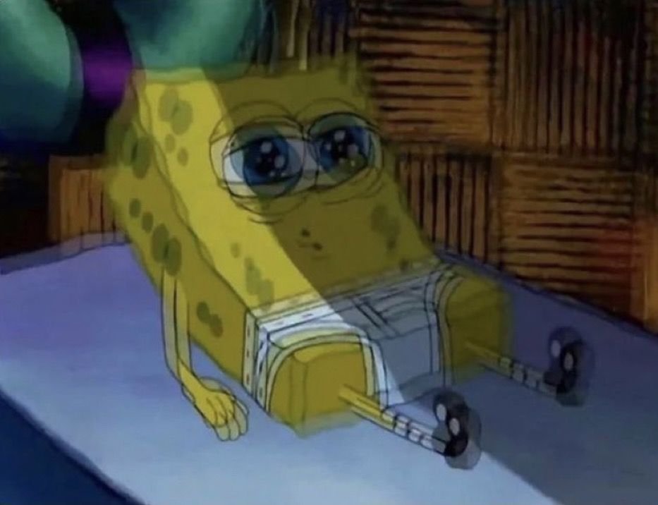 Sveta Bay tweet media